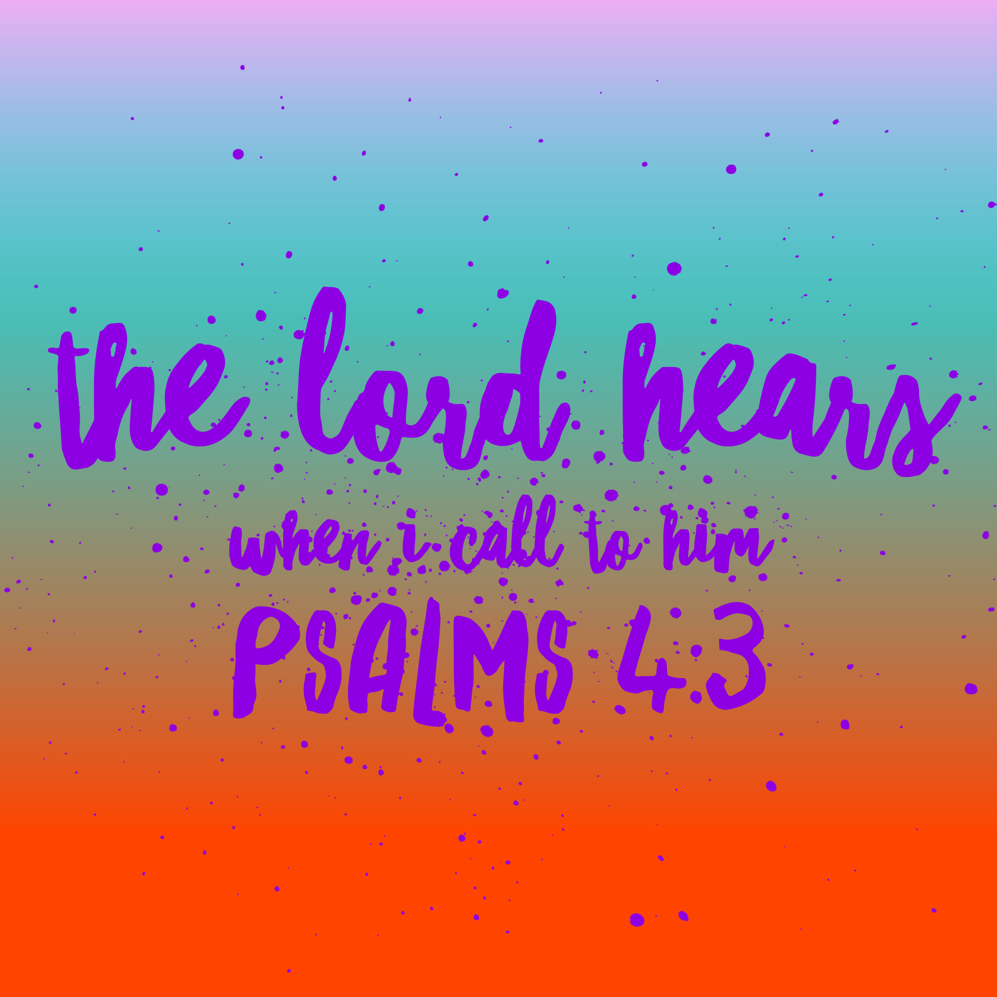 IMG_1926.PNG