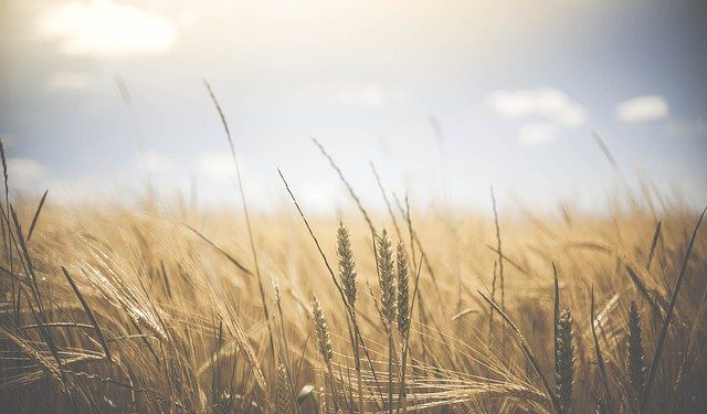 God’s Design For The Oppressed: The Teaching That Wasn’t Chosen But Taught Me A Lot*